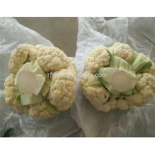 New crop of 2017 cauliflower seed with great price